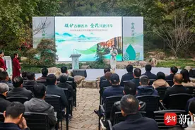 借用中医“望闻问切”方式保护古树，江苏系统性保护全省2万多株古树名木图片