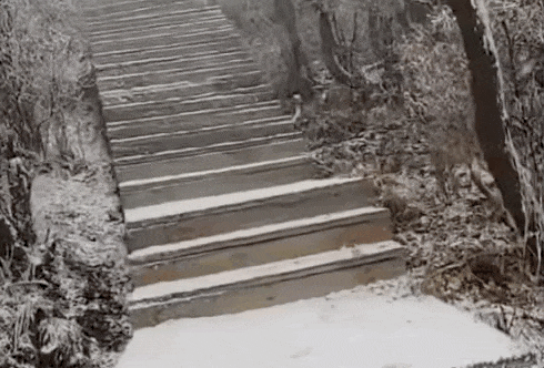 石家庄已入冬！今天这里下雪啦……