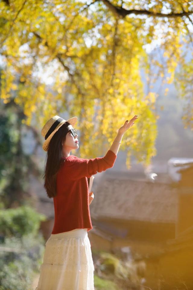 霸屏福安人朋友圈的这棵树即将进入最佳观赏期！时间就在…...