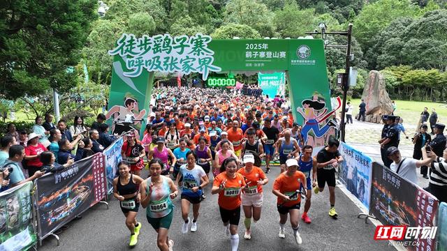 全球2000爱好者集结！张家界鹞子寨登山赛：竞技与自然美景撞个满怀