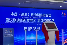 湖北自贸区武汉联动创新发展区武汉经开片区揭牌图片