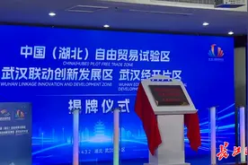 湖北自贸区武汉联动创新发展区武汉经开片区揭牌图片