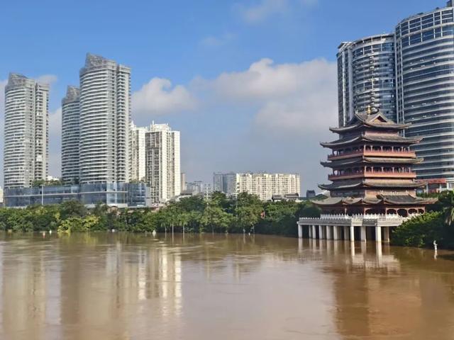 男子掉入邕江抱着浮木漂浮2个多小时