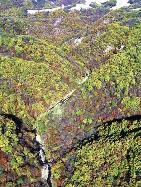 层林尽染、漫山绚烂，这就是辽东的秋天！