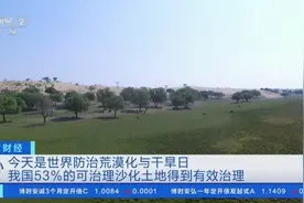 4.5亿亩农田得到有效保护！我国53%可治理沙化土地得到有效治理图片