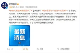 外交部：旅美大熊猫美香、添添和小奇迹将于今年年底按期回国图片