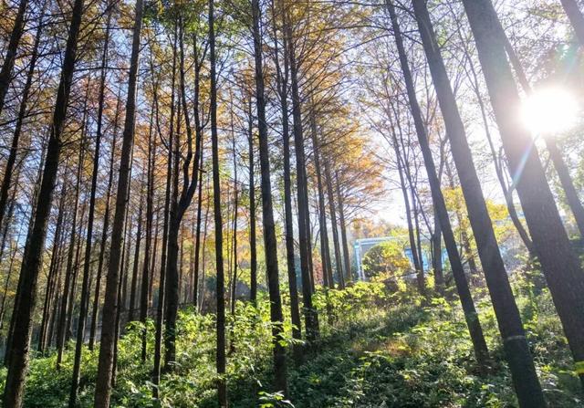 高光频现，火爆出圈！就在巢湖这里…