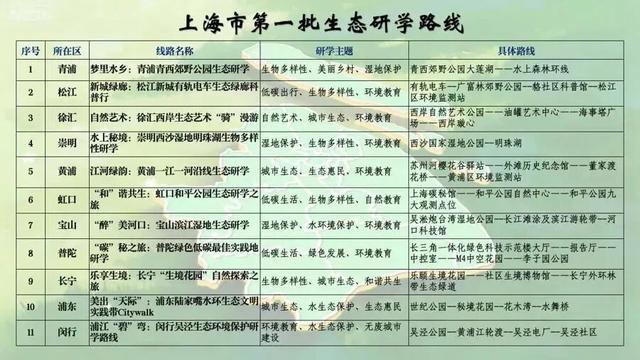 崇明这条生态研学路线，走起！