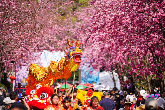 春暖中国｜万物生辉时：鲜花次第开，芬芳入画来