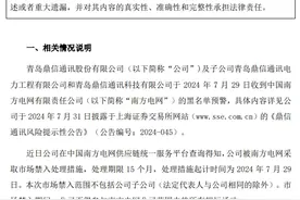 鼎信通讯被南方电网“拉黑”，预计未来三年营收下降超11亿元图片