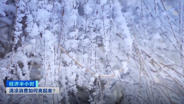 暑期市场吹起“清凉风”，滑雪场的夏天解锁新玩法