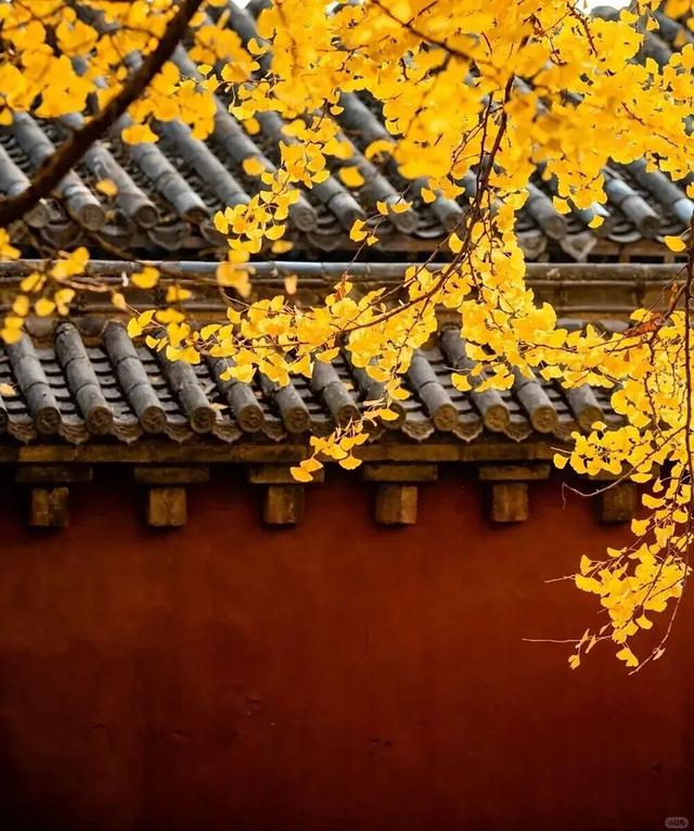 周末出发！河南最美彩色地图上线