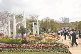 粤港澳大湾区花园大赛3月28日开幕图片