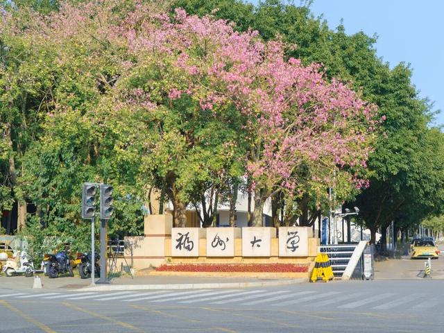 闽侯异木棉全盛登场！是谁的大学这么浪漫呀？