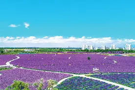以文明之光点亮幸福生活——金昌市巩固提升全国文明城市创建水平工作综述图片