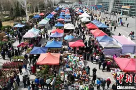 甘肃兰州春季花卉展吸引民众图片