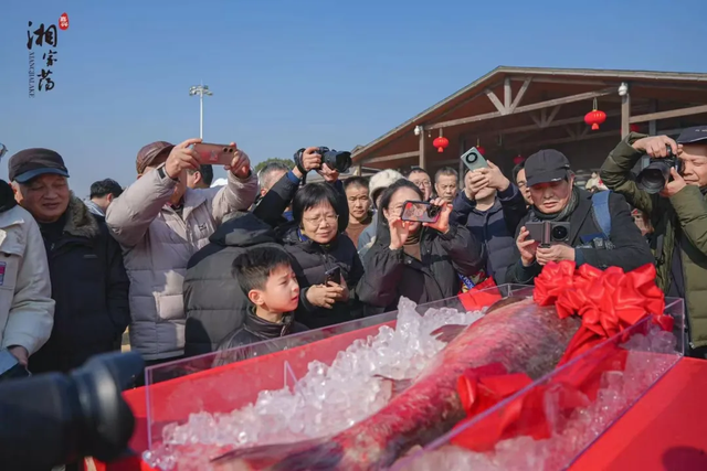 接下来的南湖，太好玩了！