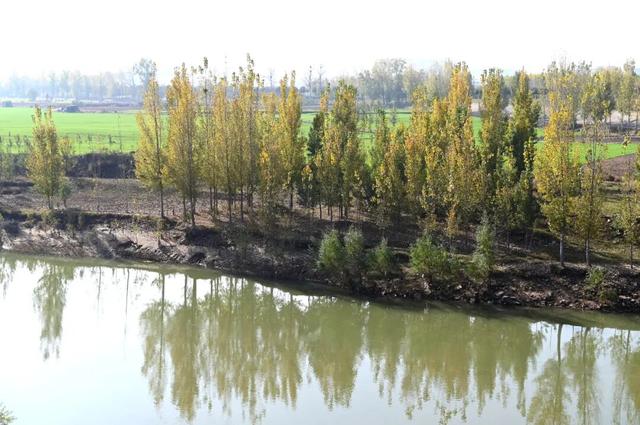 限定初冬美景！就在河南沁阳→