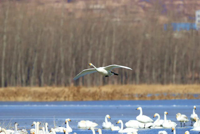 元旦假期，推荐你在河南这么玩→