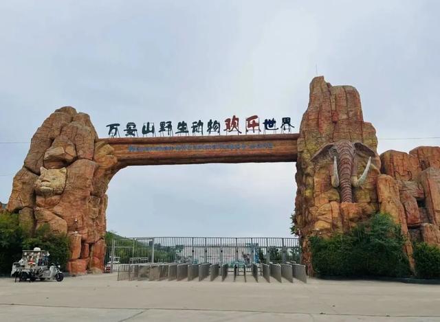想在伊滨出片？这样拍满满故事感！