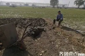 农村父母的养老生活图片