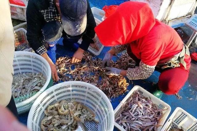 再出圈！蓬莱上榜“2025好客山东超出彩宝藏小城”