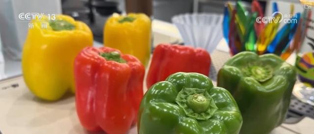 “冰雪+”跨界上“新”激活消费热力 “小而美”融合产品成文旅升级“大亮点”