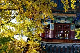 早安春城丨昆明新增一座国家标准体育场馆 位置在→图片