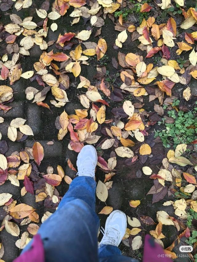 实况！武汉彩叶季来了，这些地方最出片