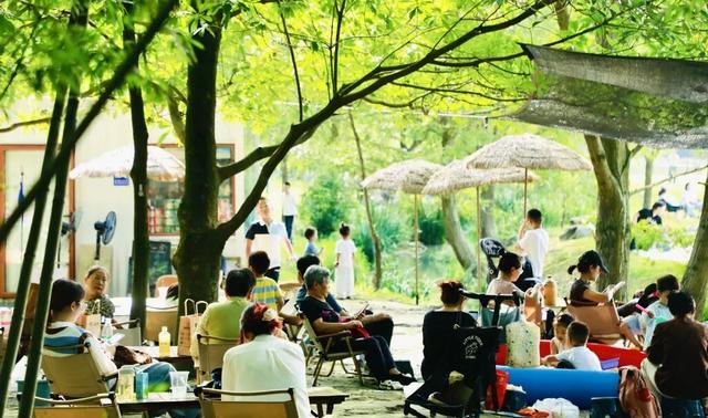 这场竹林森友会太“野”了