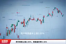 苏行转债上涨2.03%，转股溢价率3.36%视频封面