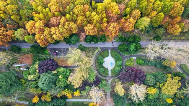 快看，永城限定美景正当时