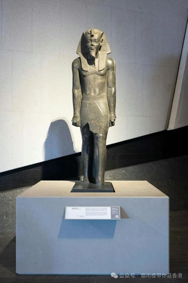 香港年度最重磅的文化盛事开放参观！