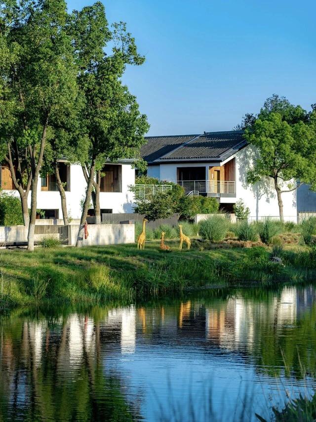 合肥三家民宿入选2025年度“皖美”金牌民宿20强