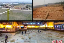 最新研究揭示水稻十万年连续演化史 实证中国是世界水稻起源地图片