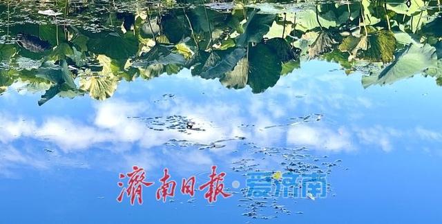 一年四季 泉在济南丨济南百花洲：初秋景致入画来