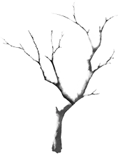 冬至丨水国过冬至 风光春已生