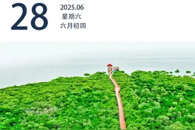 “粤车南下”即将推出｜早安广东图片