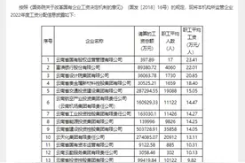云南19家国企职工平均工资披露！最高23.41万，最低7.3万……图片