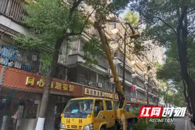 修剪树枝解民忧 心系百姓办实事图片