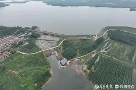 山东十万年前有大象！跋山遗址群获评“全国十大考古新发现”图片