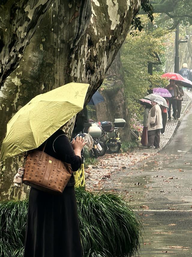 晚潮｜郭庄听雨