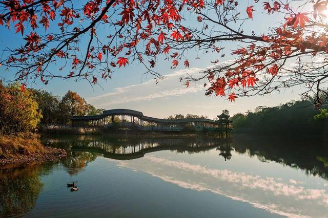 在长沙，幸福也许是听得见的风声，看得见的红叶……