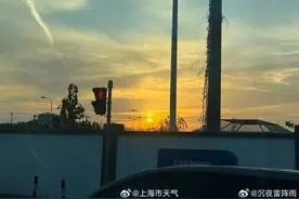 上海桂花又开了！今日直冲20℃，冷空气傍晚抵达最低温跌到个位数图片