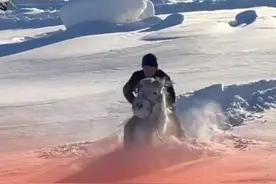 男子暴雪天后骑马艰难行走，马：你是要去西天取经吗？图片