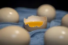 每天吃2个鸡蛋和很少吃鸡蛋的人谁更健康？一个差别很明显图片