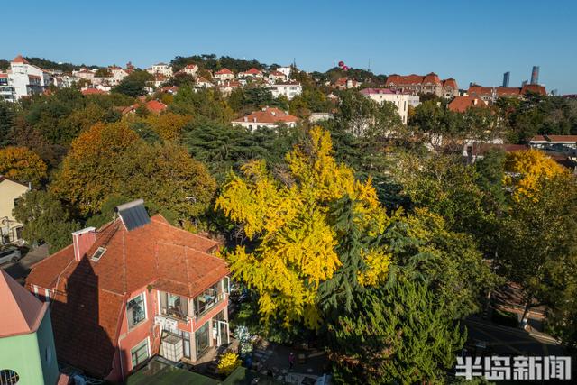 青岛故事｜五彩斑斓的秋日青岛，你怎能不爱？