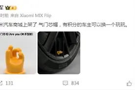 雷军安利小米气门芯帽Are you OK手型版 网友：雷总玩起自己的梗了图片