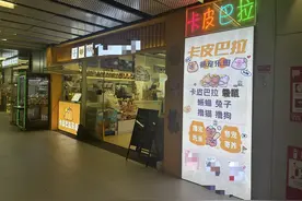 卡皮巴拉羊驼入驻商场写字楼 “萌宠馆”暗藏哪些隐患？图片