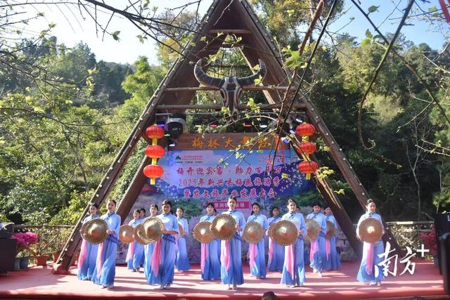 来里洞镇，遇见“梅”好生活